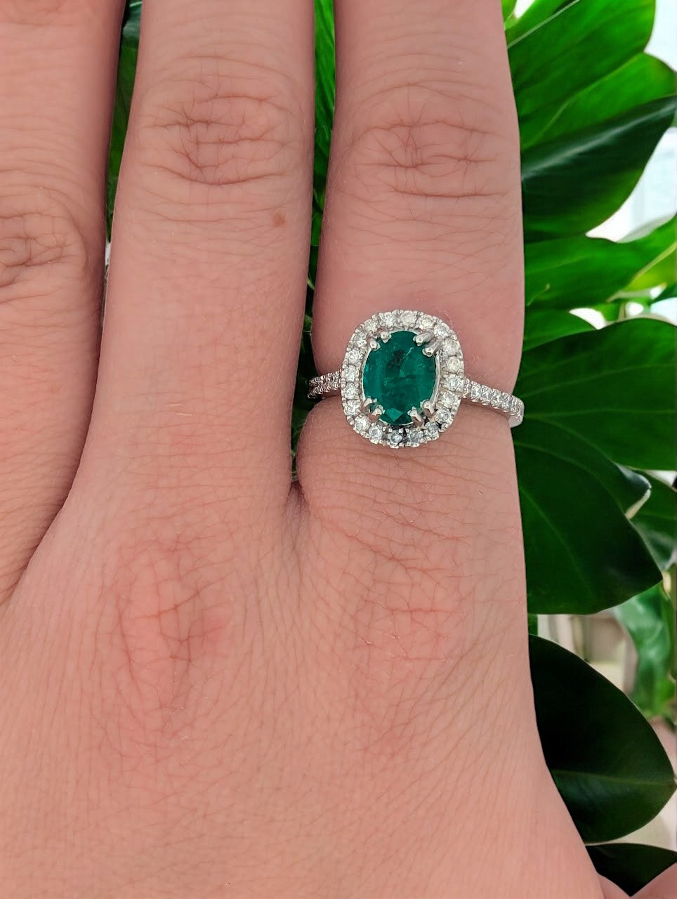 Amara | 14K White Gold | Emerald and Natural Diamond | Ring