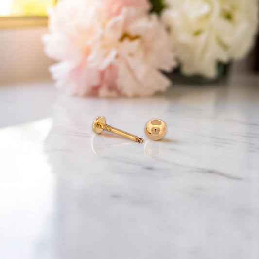 Lark Earrings | 10k Yellow Gold Dainty Earrings | Minimalist Jewelry Gift for Her