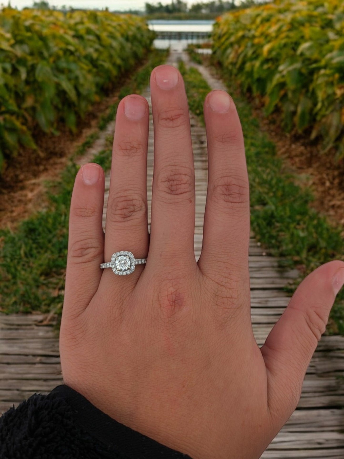 Violet | Stunning 14k White Gold Ring with 1.25 Carats of Diamonds, .72 Carat Center Stone, Elegant Engagement or Statement Jewelry